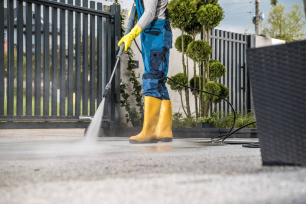 Best Soft Washing for Delicate Surfaces in Wichita Falls, TX